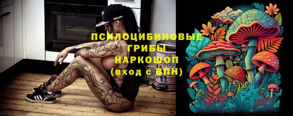 прущие крисы Алзамай