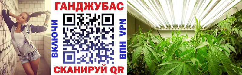 Конопля Amnesia  купить наркотик  Олонец 
